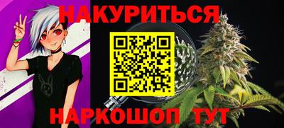 соль ск Новозыбков